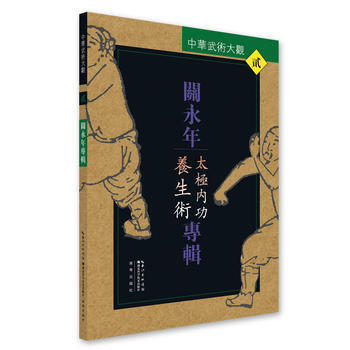 关永年专辑(太极内功养生术)/中华武术大观 9787535291592 pdf epub mobi 电子书 下载
