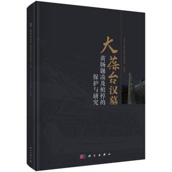 大葆颱漢墓黃腸題湊及棺槨的保護與研究 pdf epub mobi 下载