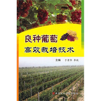 良種葡萄高效栽培技術 於景華,李欣 9787502368838 pdf epub mobi 下载