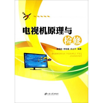 電視機原理與檢修 黃錦和,李柏雄,冼允平 9787811306330 pdf epub mobi 下载