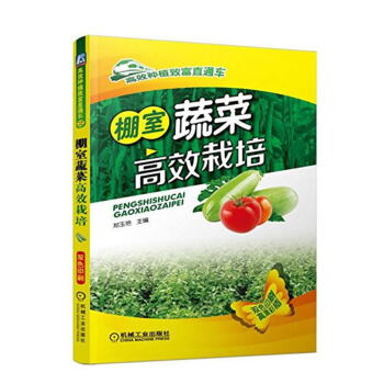 棚室蔬菜高xiao栽培 农业蔬菜种植技术书籍 大棚蔬菜栽培技术 棚室蔬菜病虫害诊治 黄瓜西葫芦甜瓜 pdf epub mobi 电子书 下载