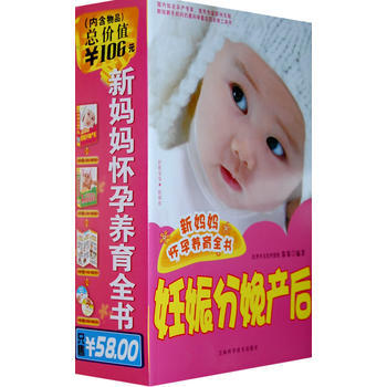 新妈妈怀孕养育全书:妊娠分娩产后 洪昭毅,郑郑著 9787538441543 pdf epub mobi 电子书 下载