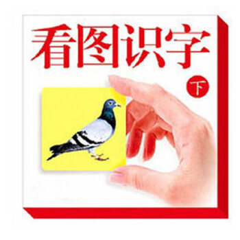 看圖識字卡拼音卡 無圖卡 幼兒童學前漢字卡片寶寶早教大卡 看圖識字下