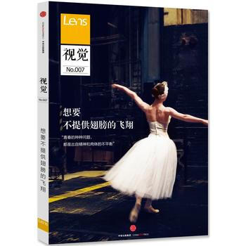 視覺007:想要不提供翅膀的飛翔 pdf epub mobi 下载