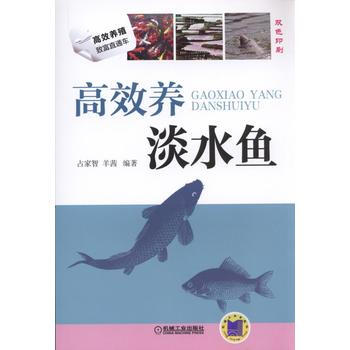 高效養殖緻富直通車:高效養淡水魚 占傢智,羊茜著 9787111512851 pdf epub mobi 電子書 下載