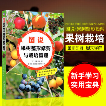 彩印新版 大棚農業種植技術大全書籍果樹種植栽培園林嫁接苗木整形修剪與管理教程 果樹病蟲害診斷防治圖解 pdf epub mobi 下载