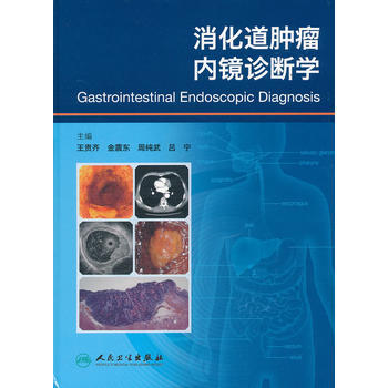 消化道肿瘤内镜诊断学 王贵齐 等 9787117142694 pdf epub mobi 下载