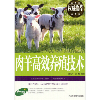 肉羊高效养殖技术 夏风竹,田梅 9787537565523 pdf epub mobi 电子书 下载