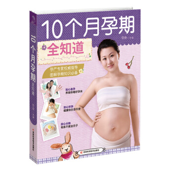 10个月孕期全知道 管睿 9787538484885 pdf epub mobi 电子书 下载