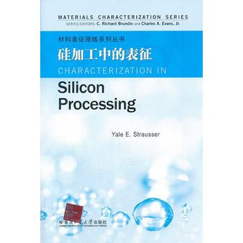 硅加工中的表征 (美)布伦协尔 等 9787560342801 pdf epub mobi 下载