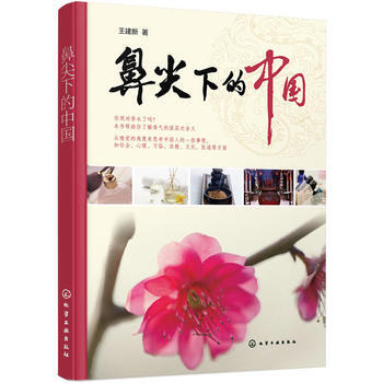 鼻尖下的中国 王建新 9787122225849 pdf epub mobi 下载