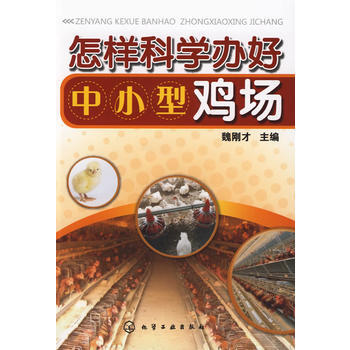 怎樣科學辦好中小型雞場 魏剛纔 9787122054586 pdf epub mobi 電子書 下載