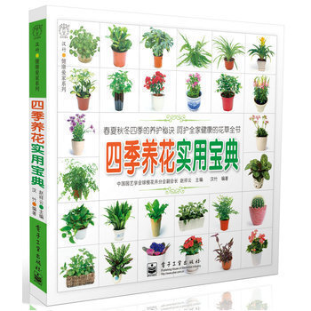 四季养花实用宝典 汉竹健康爱家系列 春夏秋冬四季种花养花护花 花卉栽培 盆栽花草种植养护 花艺园艺 pdf epub mobi 电子书 下载