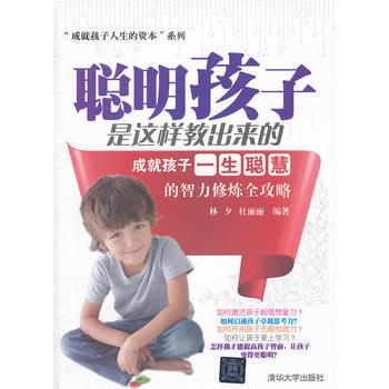 聪明孩子是这样教出来的——成就孩子一生聪慧的智力修炼全攻略(“成就孩子人生的资本”系列) pdf epub mobi 电子书 下载