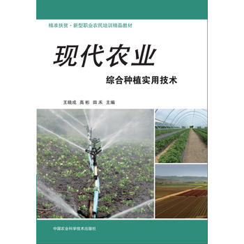 BF:现代农业综合种植实用技术 王晓成,高彬,田禾 中国农业科学技术出版社 9787511 pdf epub mobi 电子书 下载
