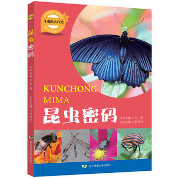 BF:昆蟲密碼-身邊的大自然 趙博,程曉鼕 遼寜師範大學齣版社 9787565224799 pdf epub mobi 下载