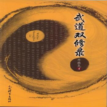 BF:武道双修录 朱胜先 人民体育出版社 9787500949756