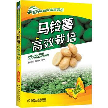 马铃薯高效栽培 张丽莉 9787111542315 pdf epub mobi 下载