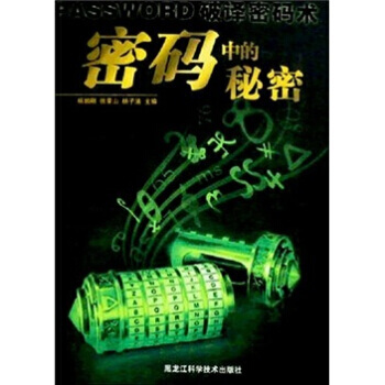 密碼中的秘密 pdf epub mobi 下载