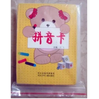 拼音卡 汉语拼音 拼音卡片声母韵母整体认读音节 带四声调 河北少年儿童出版社