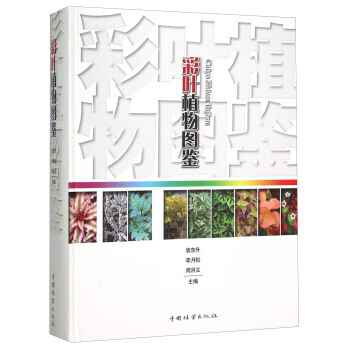 彩叶植物图鉴9787503880971 中国林业出版社 袁东升,李月松,周洪义 pdf epub mobi 电子书 下载
