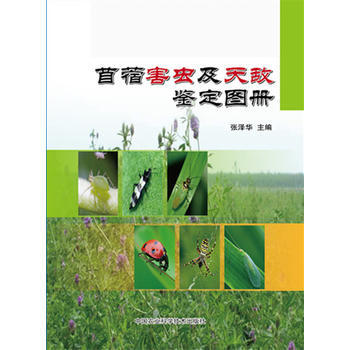 苜蓿害虫及天敌鉴定图册 张泽华