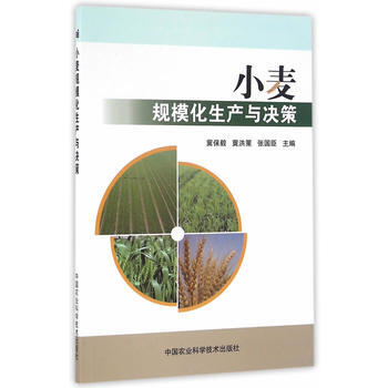 小麦规模化生产与决策 冀保毅,冀洪策,张国臣