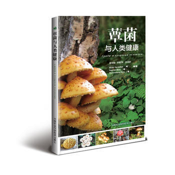 蕈菌与人类健康 杨槐俊,郭素萍,张治家,Abiev Sardarbek(哈) 978751 pdf epub mobi 电子书 下载