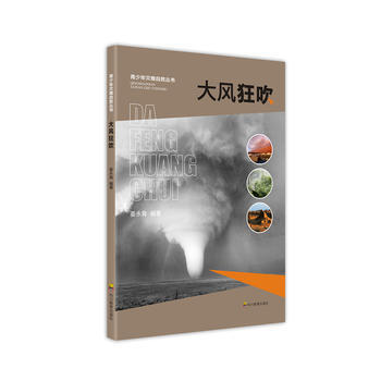 大风狂吹 pdf epub mobi 下载