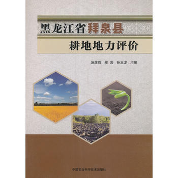 黑龍江省拜泉縣耕地地力評價 湯彥輝,程岩,孫玉龍 pdf epub mobi 下载