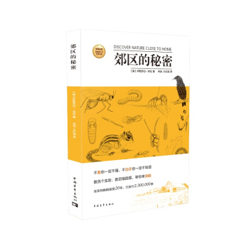 郊区的秘密 pdf epub mobi 下载