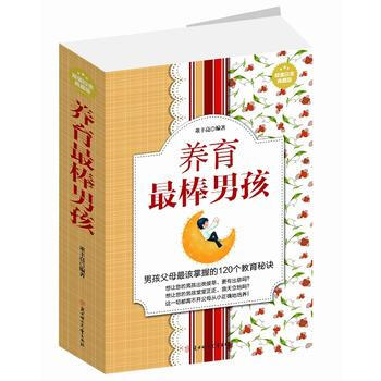 养育棒男孩:超值白金典藏版 董丰亮著 9787538587081 pdf epub mobi 电子书 下载