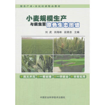 小麦规模生产与病虫害原色生态图谱 刘虎,田海彬,段恩忠