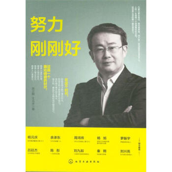 努力 刚刚好 pdf epub mobi 下载
