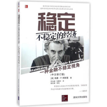 稳定不稳定的经济:一种金融不稳定视角(中文修订版) pdf epub mobi 下载