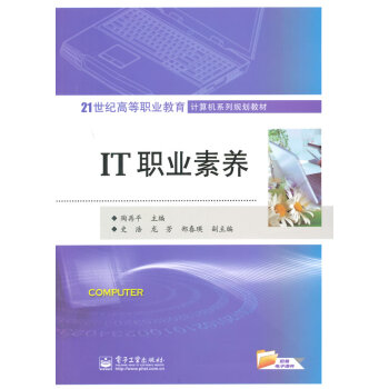 IT职业素养 pdf epub mobi 下载