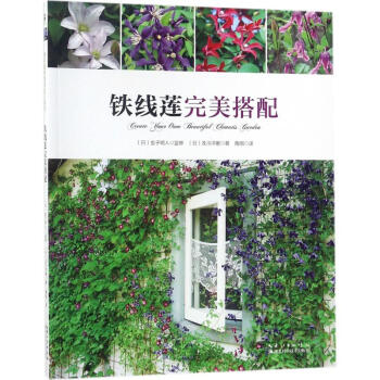 铁线莲完美搭配