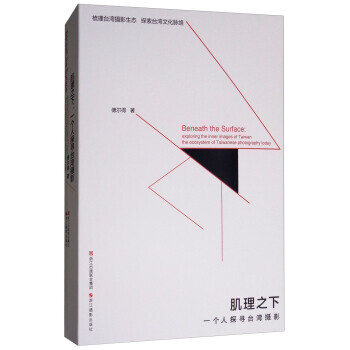 肌理之下：一個人探尋颱灣攝影9787551419024 浙江攝影齣版社 傅爾得 pdf epub mobi 下载