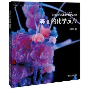正版新书--美丽的化学反应(荣获“大众喜欢的50种图书”) 梁琰 pdf epub mobi 下载