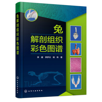 兔解剖組織彩色圖譜 pdf epub mobi 電子書 下載