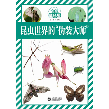 【XH】 昆蟲世界的僞裝大師-自然趣玩屋 pdf epub mobi 電子書 下載