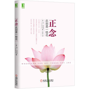 正念：此刻是一枝花 pdf epub mobi 电子书 下载