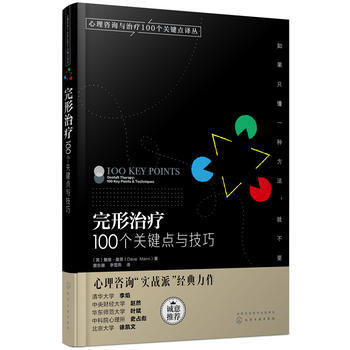 心理咨询与治疗100个关键点译丛-完形治疗：100个关键点与技巧 pdf epub mobi 电子书 下载