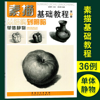 智品 素描基础教程第2册从结构到明暗单体静物 高考艺考铅笔画手绘素描入门自学零基础绘画安徽美术出版社 pdf epub mobi 下载