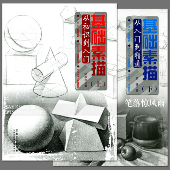 智品 共两册基础素描从初识到精通上下册 入门自学结构静物绘画零基础学素描美术素描基础教程书绘画铅笔素 pdf epub mobi 下载