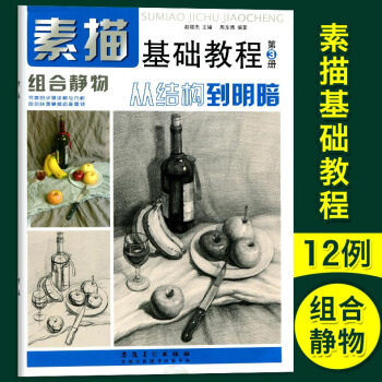 智品 素描基础教程第3册从结构到明暗组合静物 高考艺考铅笔画手绘素描入门自学零基础绘画安徽美术出版社 pdf epub mobi 下载