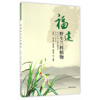 福建野生兰科植物 兰思仁