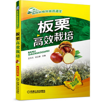 正版新書--闆栗高效栽培(高效種植緻富直通車) 王天元,安立春 機械工業齣版社