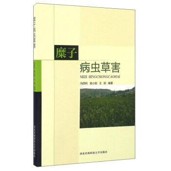 9787568300605 糜子病蟲草害 西北農林科技大學齣版社 馮佰利,高小麗,王陽