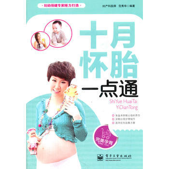VIP十月怀胎一点通 pdf epub mobi 下载